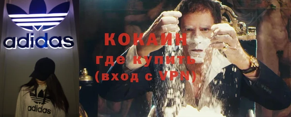 PSILOCYBIN Бронницы