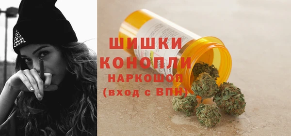 PSILOCYBIN Бронницы