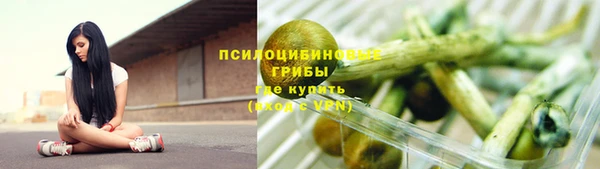 гидропоника Бородино