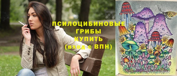 PSILOCYBIN Бронницы