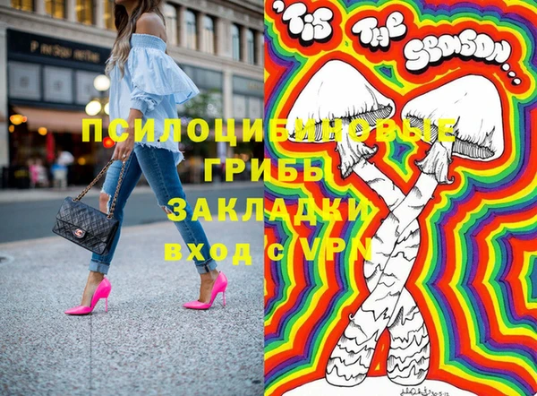гидропоника Бородино