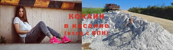 PSILOCYBIN Бронницы